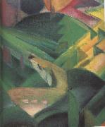Franz Marc Details of The Monkey (mk34) oil painting artist